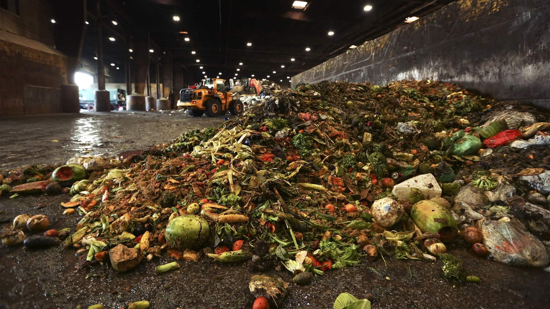 Mengubah Limbah Makanan Menjadi Solusi Tenaga Terbarukan